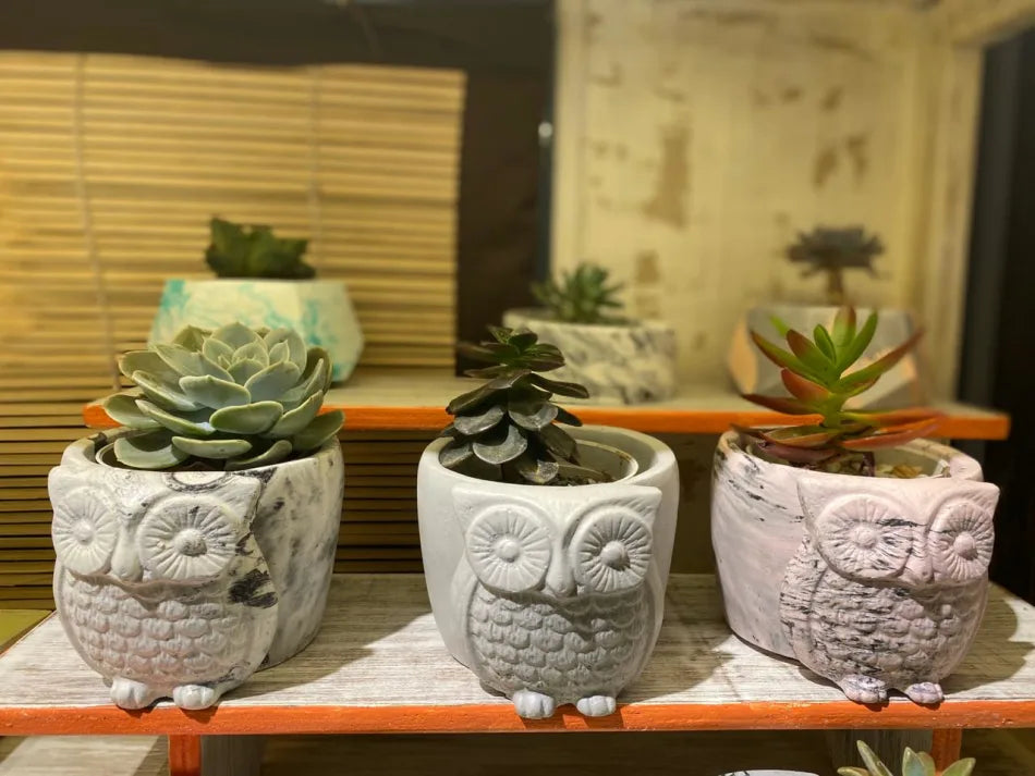 Owl - Concrete Planter And Pen Holder