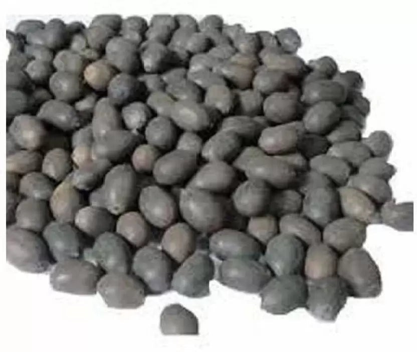 HOME ORNAMENTAL LOTUS SEEDS FOR POSITIVITY (100 SEEDS)