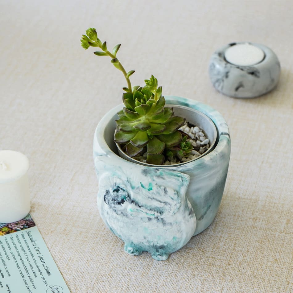 Owl - Concrete Planter And Pen Holder