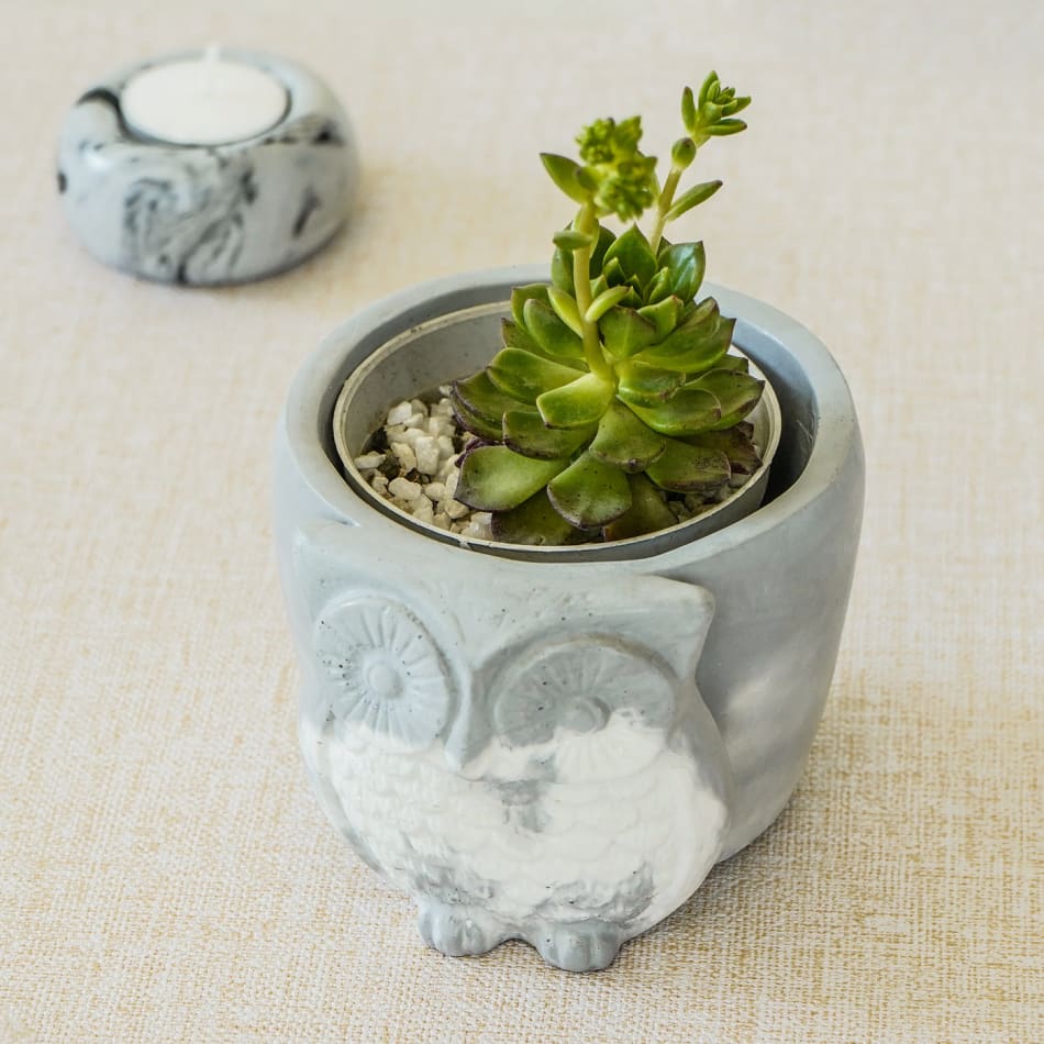 Owl - Concrete Planter And Pen Holder