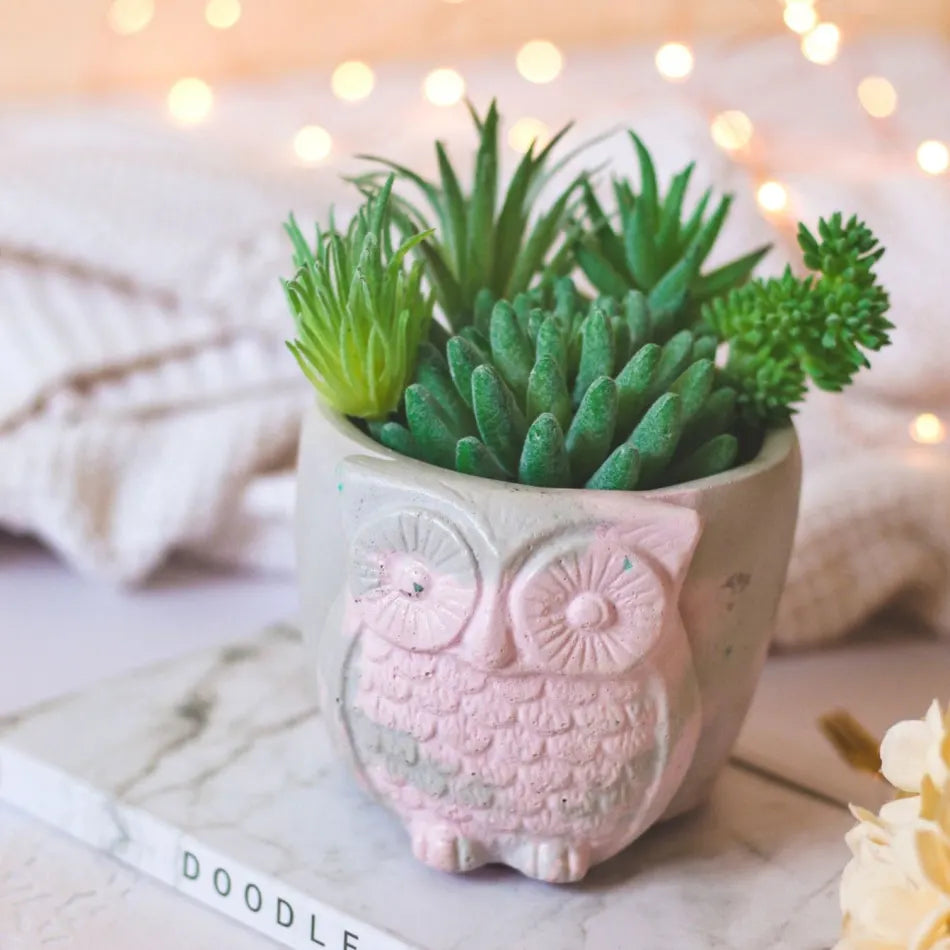 Owl - Concrete Planter And Pen Holder